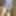 フィッシュネットを購入し始めました