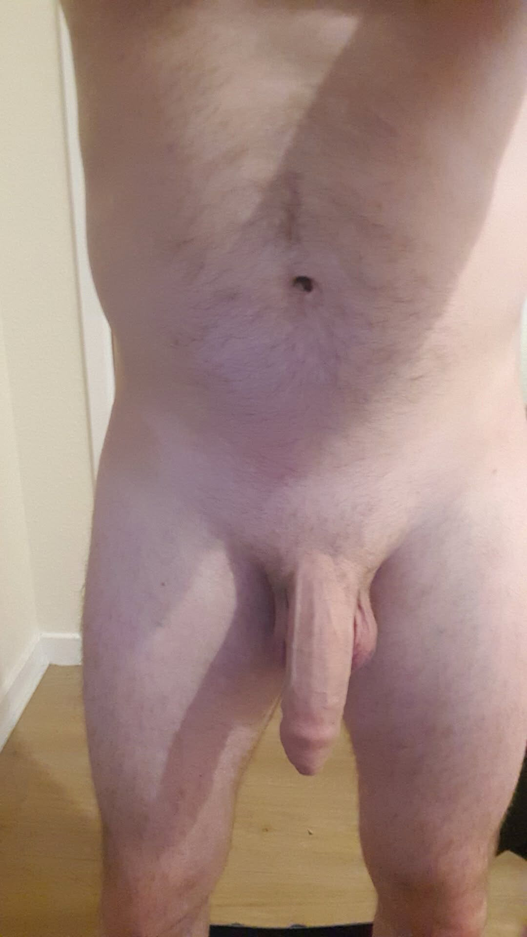 Penis 