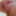 My dildo fucks my ass with panties #2