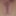 Mandatory Weighing, Cagecheck Oktober 17, 2023