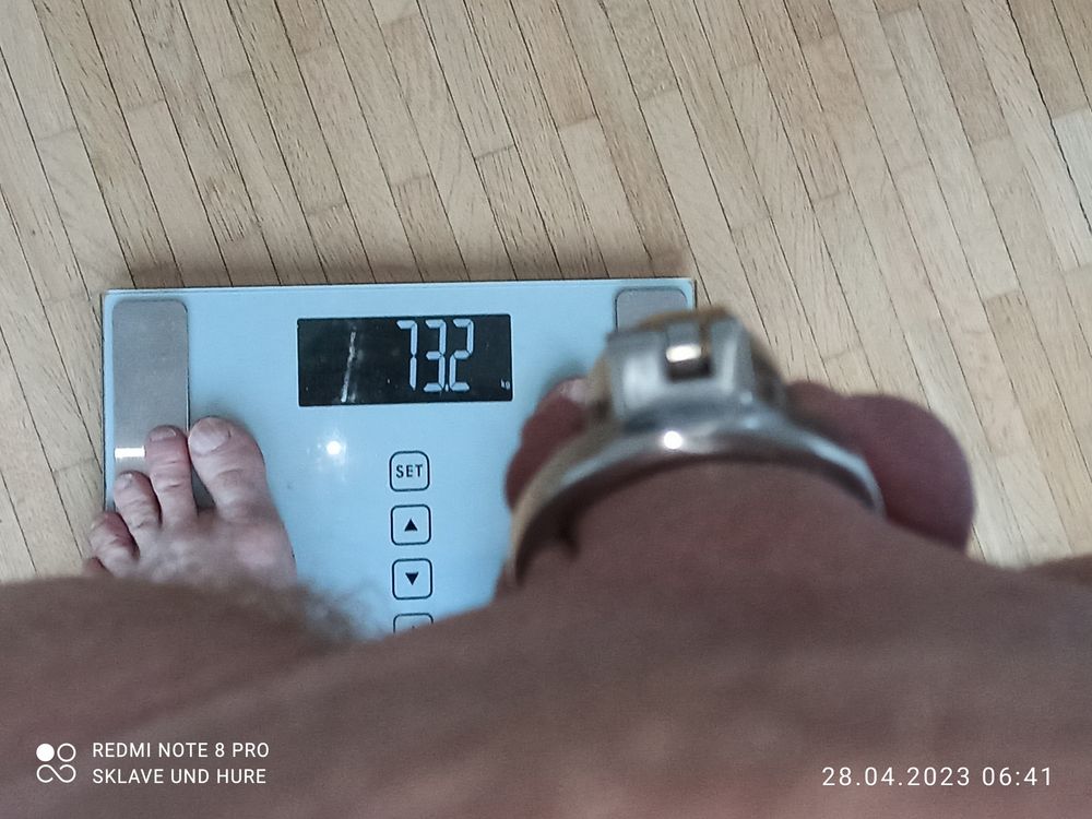 weighing cagecheck 28.04.2023 #20