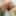  My Pics, Random Collection Vol. 3 #2