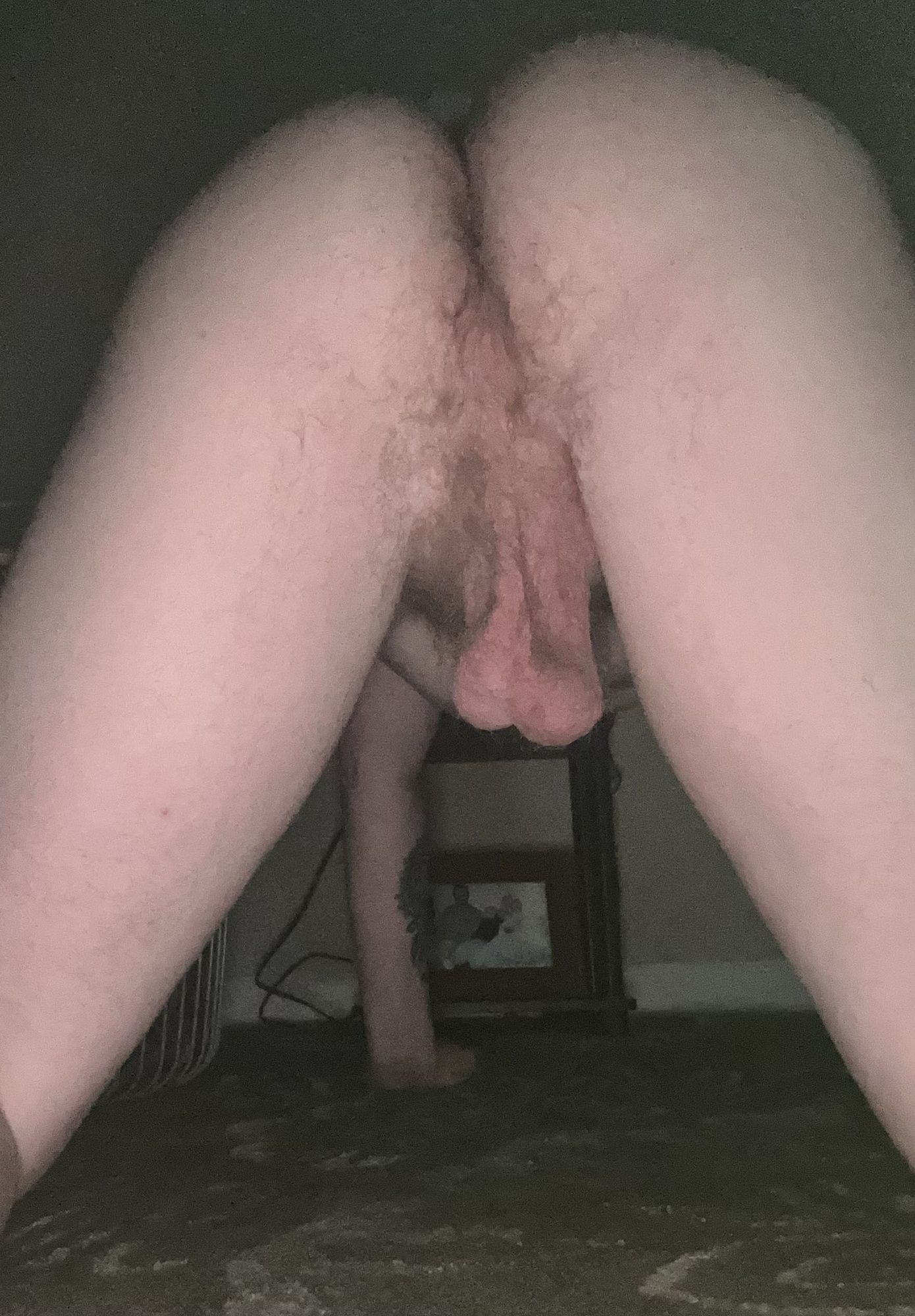Hairy ass 