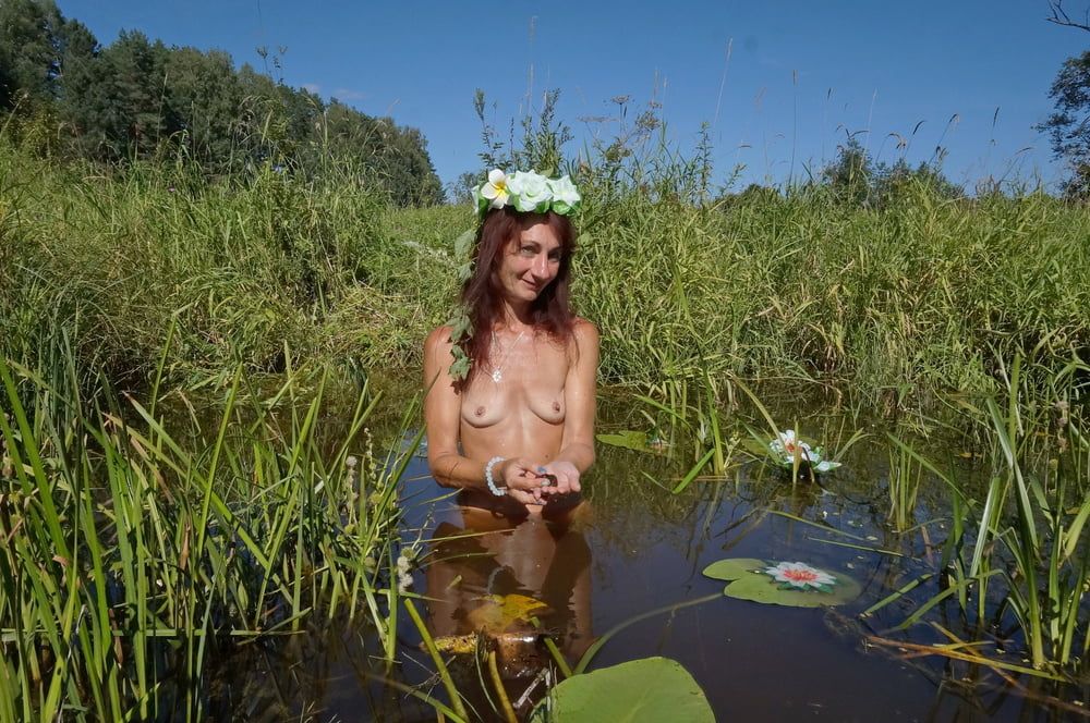 In pond with waterflowers #42