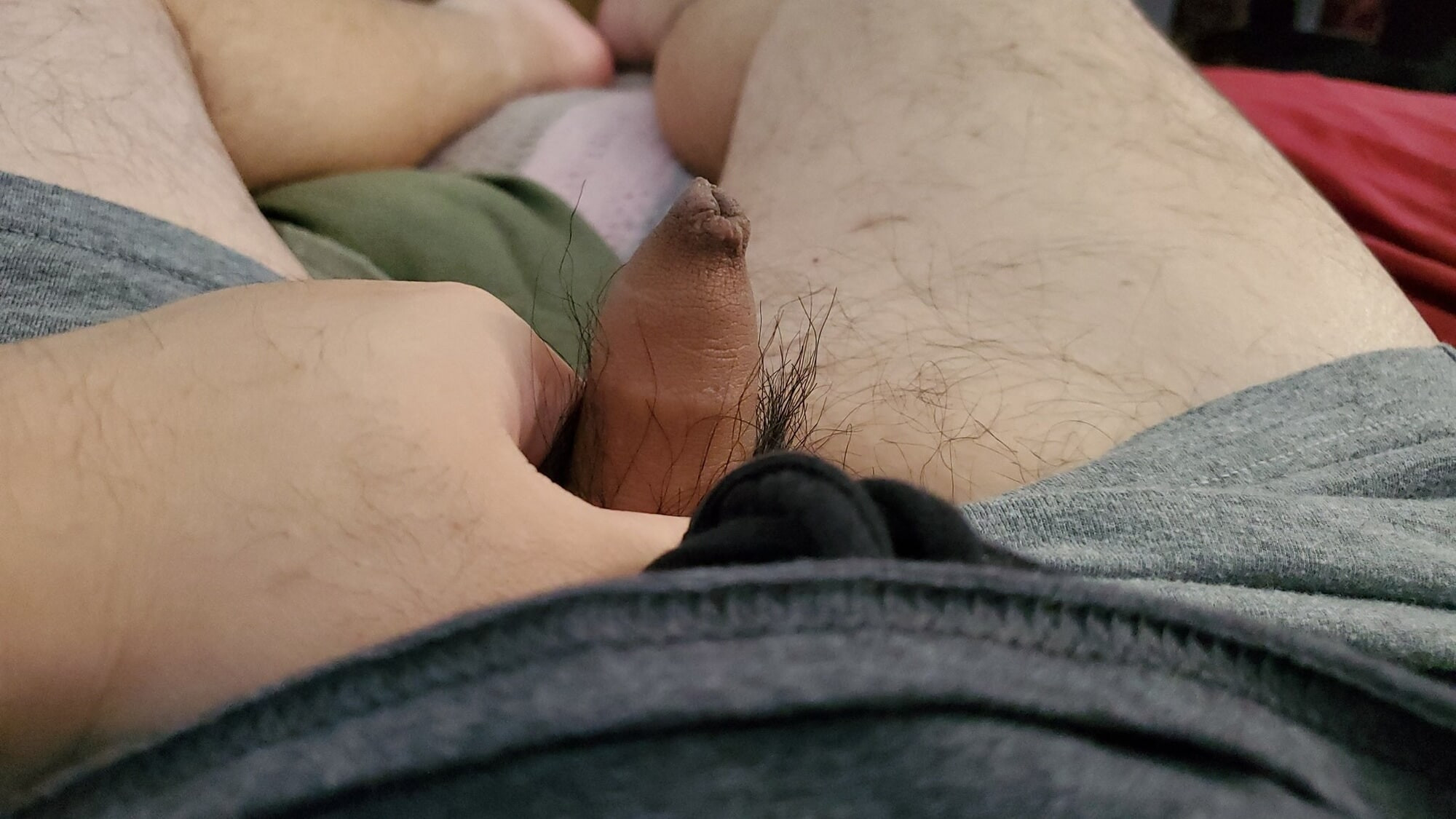 Bear stuff #8