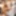 Pixwhores Experimental: Blondes gagged, tied & trussed #3