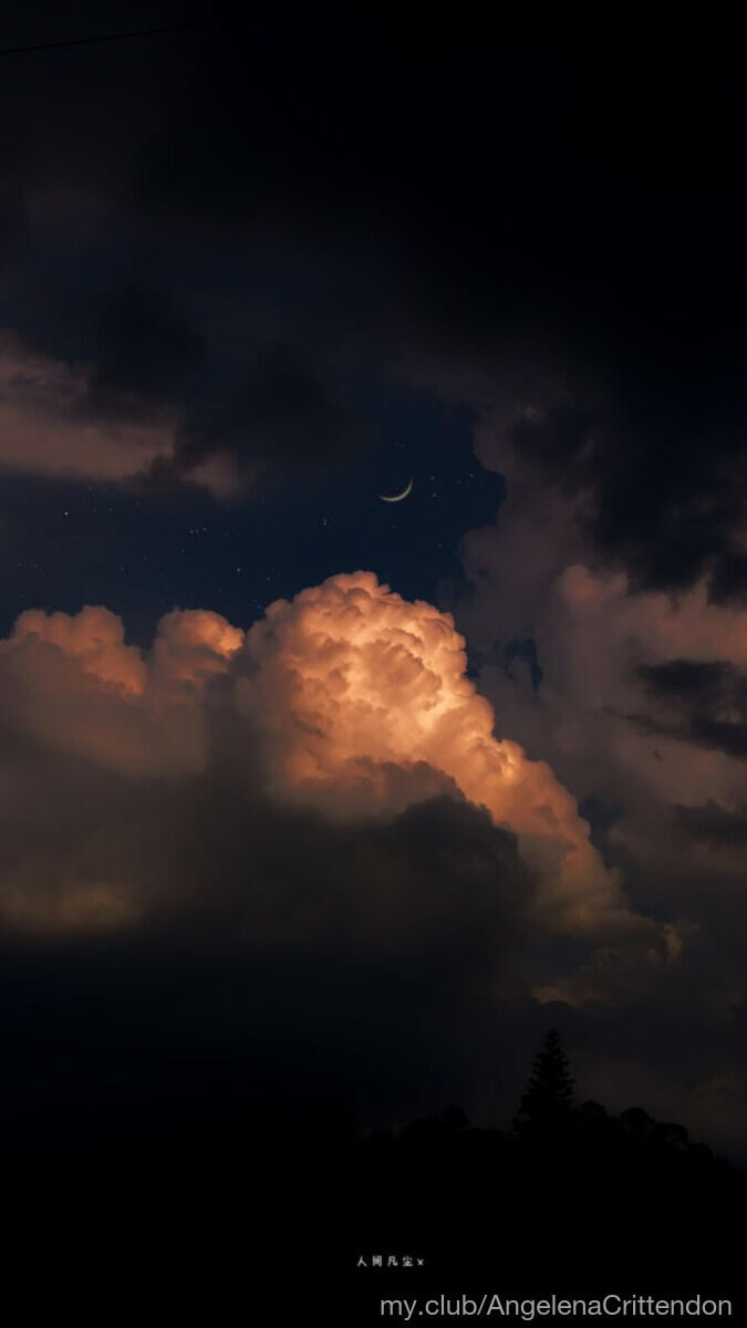 Molly Free Photos #42