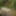 Ücretsiz SHAYLA Fotoğrafları