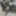Ücretsiz Vera Fotoğrafları