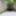 Neues vom See 16.08.2020 #2