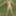 On the river bank, on the grass, in a public place without p