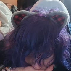 Kittywolf😽
