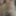 Got some fresh pictures of my beautiful dick and ass