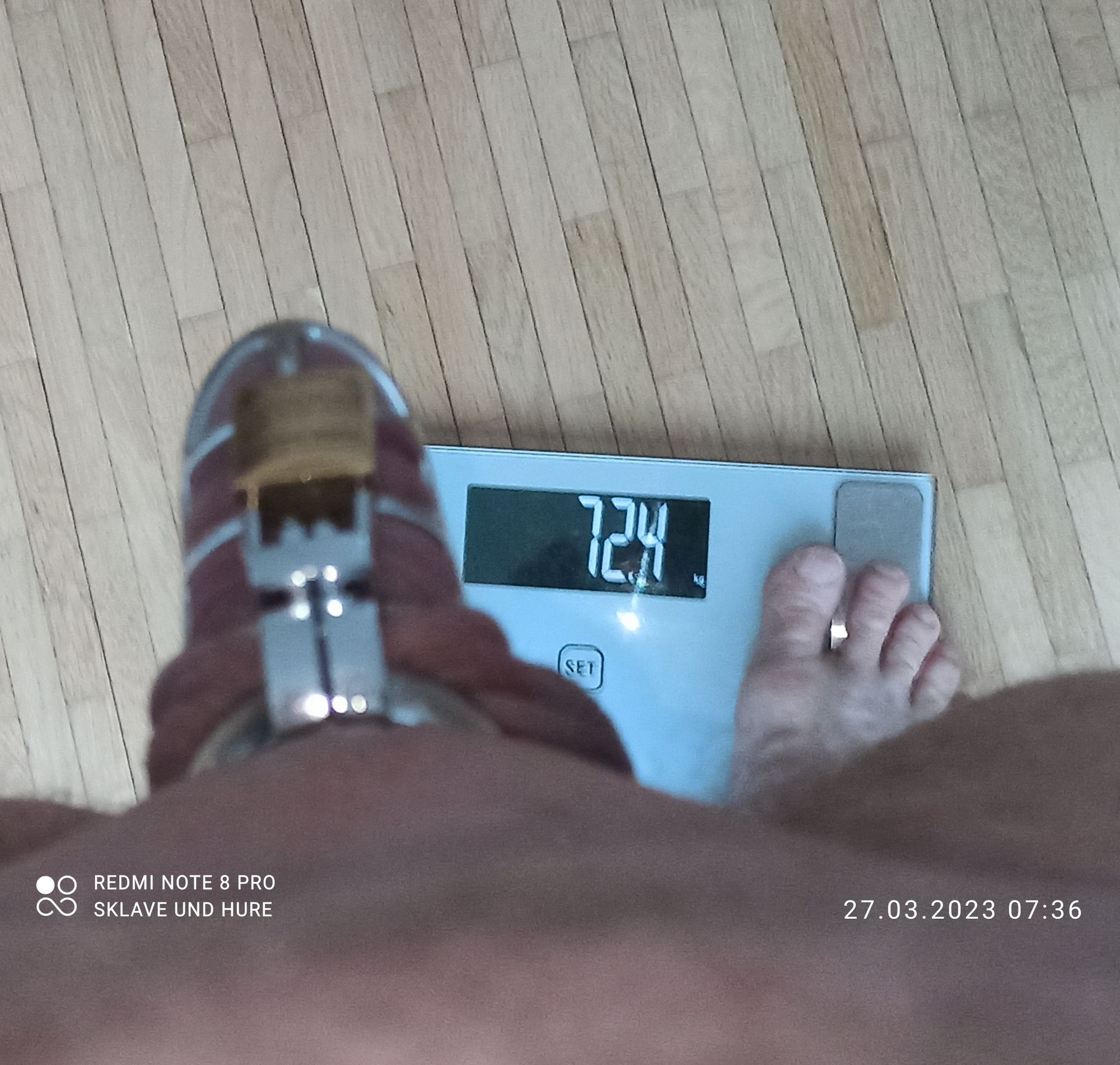 mandatory weighing and cagecheck of 27.03.2023 #6
