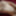 @PupRaz0r7uC  GIF☆collection pt2 #6