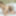 Just two naughty Asian cuties fooling around #25