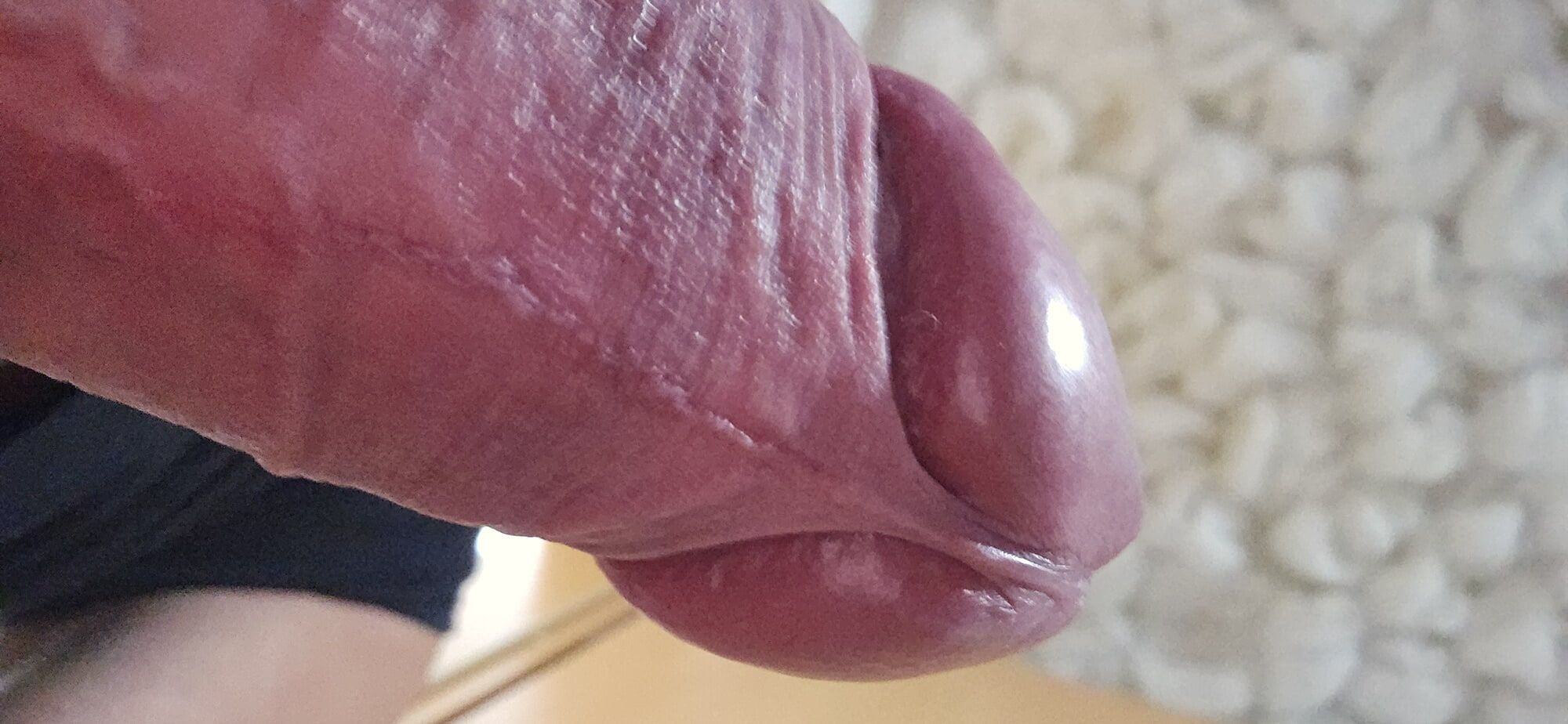 New cock pic's #6