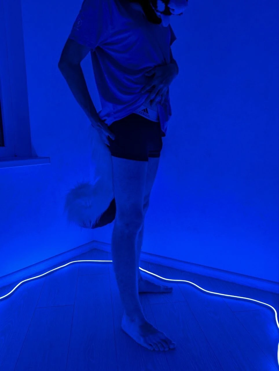 VacFurrDemon66 Fursuit #5