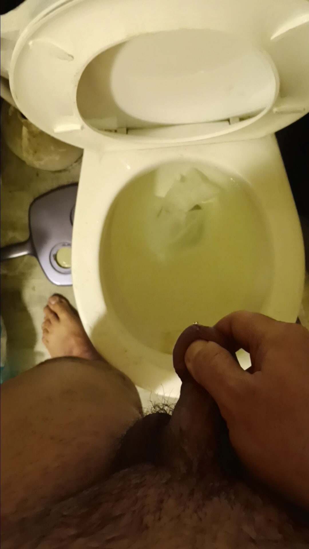 Bathroom Endeavors #12