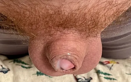 my tiny inverted cock         