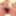 Hard cock Nudes 