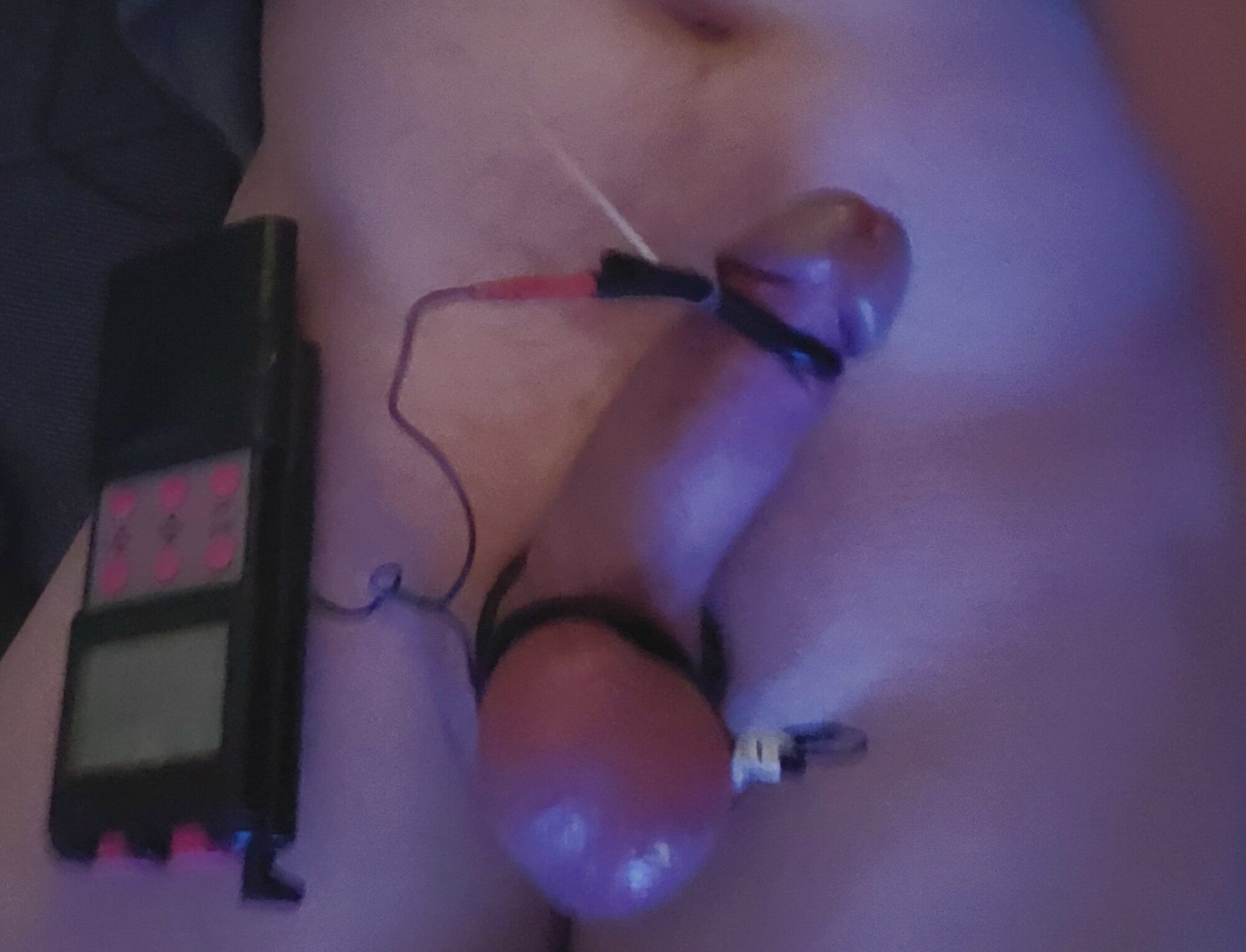 Milking cock with e-stim