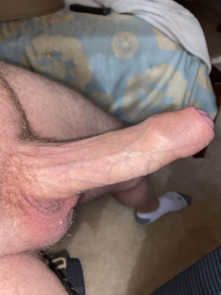 Cock #23