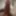 Cock