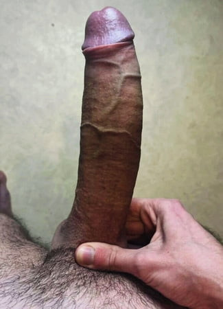 It's my any one want please message me back bull dick.      