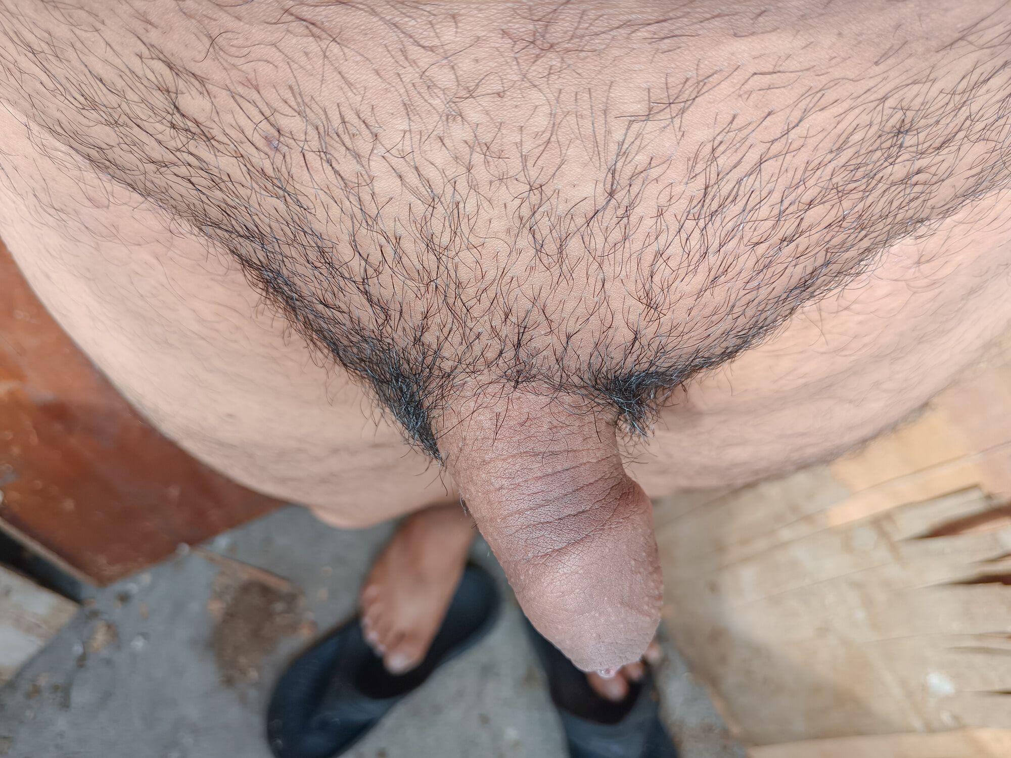 My Rich Dick without Erection and without hair removal - 01 #2