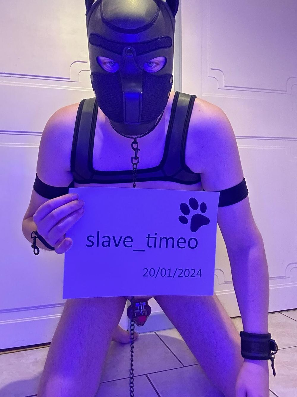 Presentation of slave_timeo (blue shooting) #34