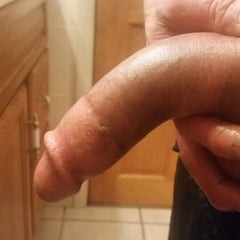 Mr softy