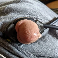 Small flaccid estim