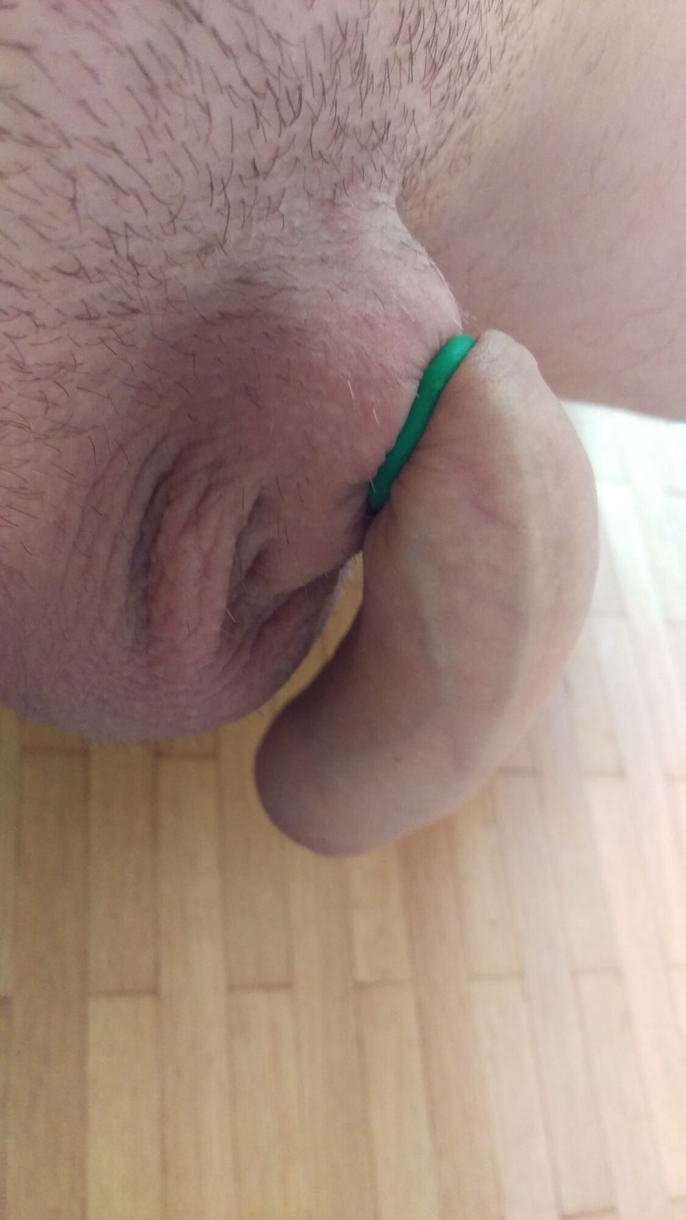 Penis banding session #9