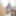Shino Aoi :: The Prey waitress - CARIBBEANCOM #7