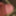 Spitze 