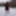 Pregnant flashing naked in the cold snow #45