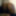 2019 pics