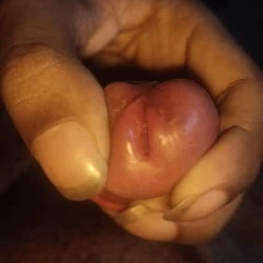 Cock