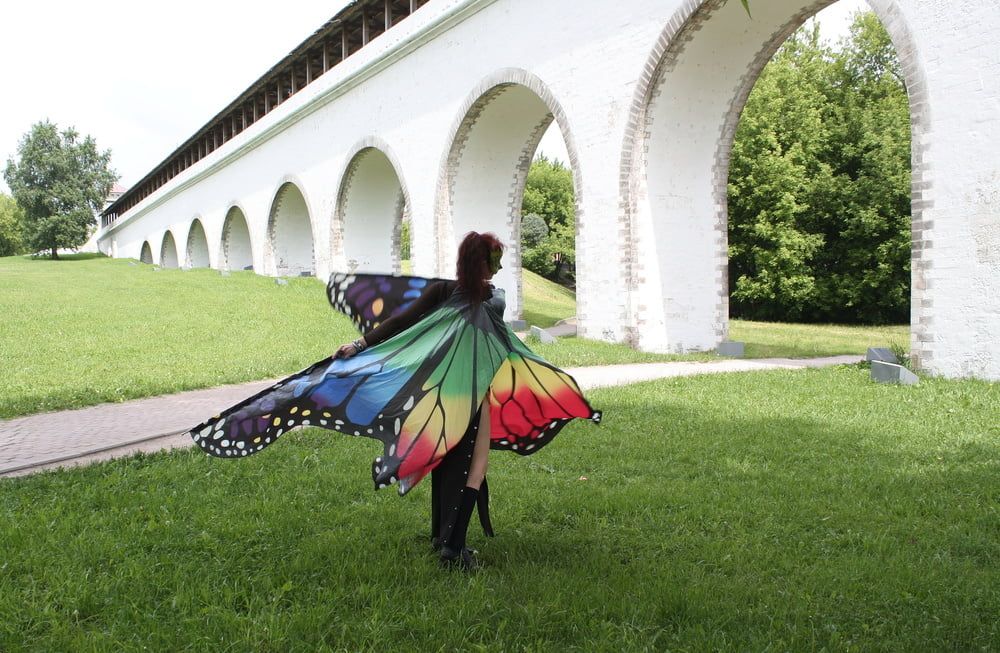 Wings of Butterfly #13
