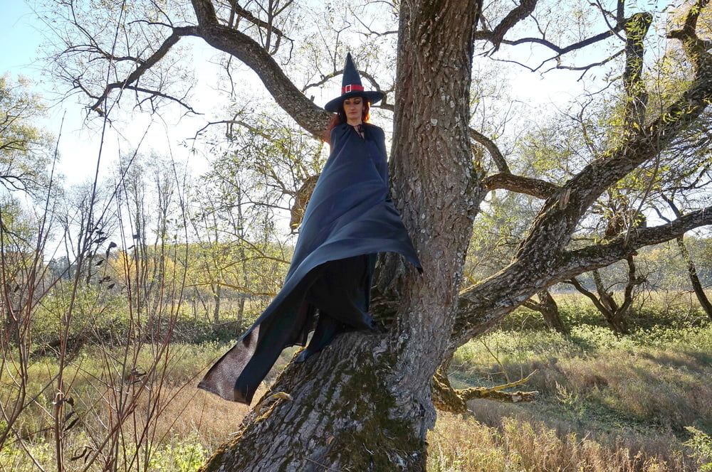 Witch on the Tree #54