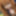 Ai Misaki :: Gangbang With Fans - CARIBBEANCOM #21