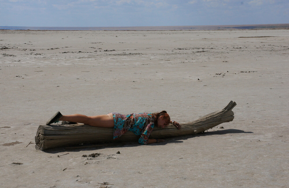 On log in desert #14