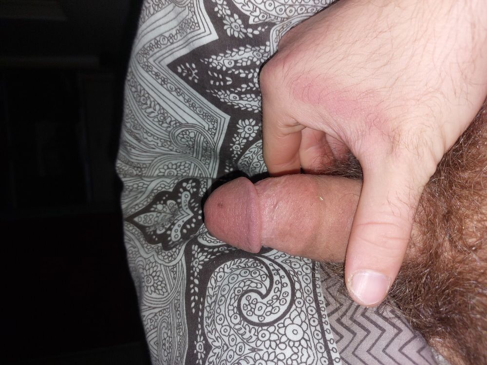 White young cock