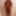 Tygra babe eat the two sides of large cumcumber. #53