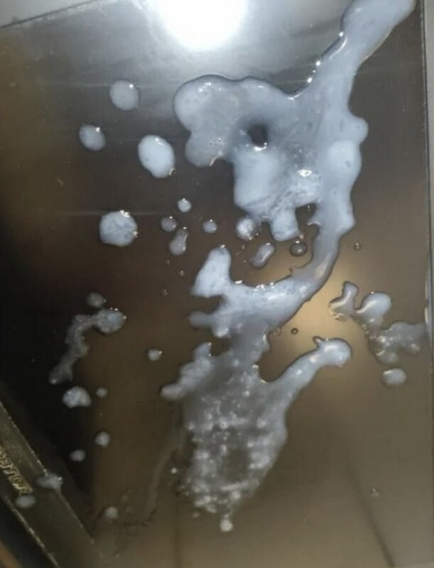  PAU DURO E CUECA SUJA  DE PORRA