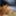 官能的なフェラチオ - セクシーなタイのいい女 - 私の #StiffDick #As を処理します