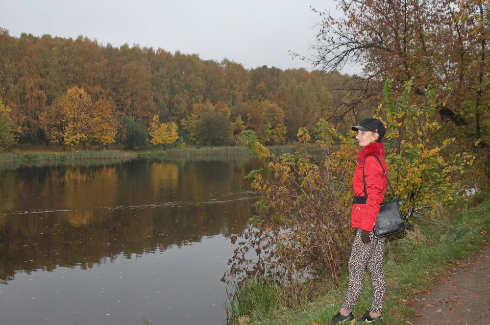 red jacket and yellow leaves #13