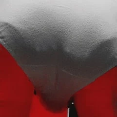 Panties