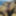 Flroian Johannes Mueller nude at the beach #32